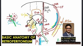 Anatomy of the retroperitoneum with voiceover [upl. by Durgy]