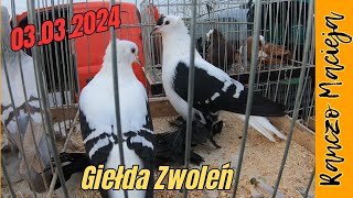 Giełda zwierząt Zwoleń 030324 349 [upl. by Hilten]