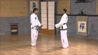 ITF Complete System of Sparring [upl. by Ajed]