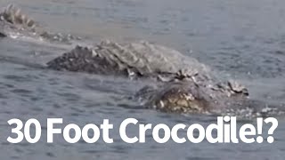 30 Foot Crocodile Seen in Philippines [upl. by Effie]