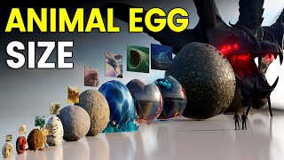 3D Eggs Size Comparison  Animal Egg Size [upl. by Ainav]