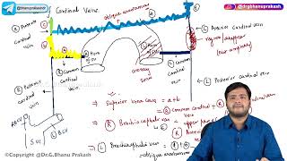 23 Venous Development amp Anomalies Part 2  Embryology [upl. by Adnat]