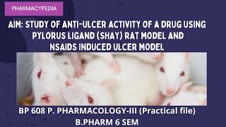 Study of antiulcer activity of a drug using pylorus ligand SHAY rat model and NSAIDS induced ulcer [upl. by Ahsaeyt688]