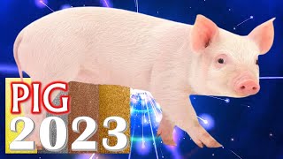 Pig Horoscope 2023 ❤ Born 2019 2007 1995 1983 1971 1959 1947 1935 [upl. by Schear229]