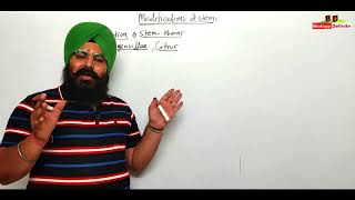 Morphology of Flowering Plants Lecture 02 [upl. by Nyrehtak721]