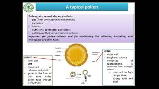 Major Methods for Pollen Viability Estimation 2 [upl. by Wheeler]