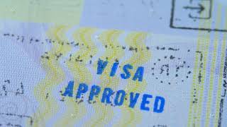 Visa approved stamp in passport ID [upl. by Arleyne]