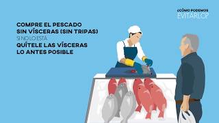 ANISAKIS Comer pescado es sano y saludable La Anisakiasis es fácil de evitar [upl. by Enrak247]