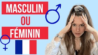 Le genre des noms  Féminin ou masculin  Français [upl. by Ynnal]