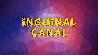 inguinal canal anatomypptvideo lecturembbs [upl. by Seroka]