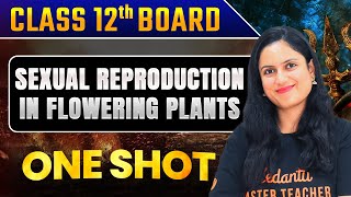 Sexual reproduction in Flowering PlantsDecode NCERT NCERT Lines  PYQs Solving  NEET 2024 Biology [upl. by Piane]