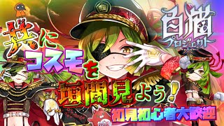 10周年おめでとう♪マルチとかやろうよ♪【白猫プロジェクト】ゲーム雑談配信！初見初心者さん誰でも気楽にご参加ください。『OVERSKYFRONTIER』 [upl. by Ynabe]