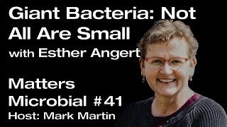 Matters Microbial 41 Giant Bacteria Not All Are Small with Esther Angert [upl. by Rabjohn193]