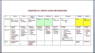 Protein Metabolism Session 20INDIVIDUAL AMINO ACIDS METABOLISM [upl. by Riccardo143]