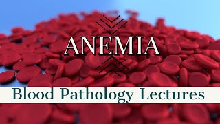 ANEMIA PATHOLOGY lecture 3 IRON DEFICIENCY ANEMIA with important stuff easy to do [upl. by Jarlen]