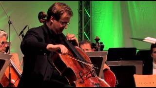 Shostakovich Cadenza Wolfgang Emanuel Schmidt  Cello Akademie Rutesheim [upl. by Dulla]