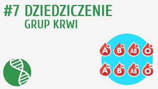 Dziedziczenie grup krwi 7  Genetyka [upl. by Ainig]