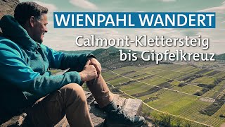 Wandern auf dem steilsten Weinberg Europas CalmontKlettersteig bis Gipfelkreuz  Wienpahl wandert [upl. by Artina]