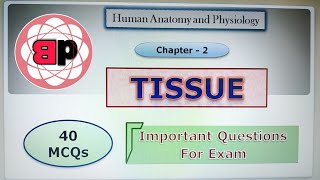 MCQ  Chapter 2 Elementary Tissues  40 Important Questions for Exam  Tissue level of organisation [upl. by Wiencke]