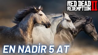 EN NADİR 5 At Sırasıyla Red Dead Redemption 2 [upl. by Weitzman]