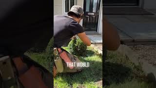 Satisfying Gardening Work🌳garden gardening satisfying cleaning grass lawn viral fyp 180 [upl. by Irrab887]