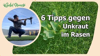 6 Tipps gegen Unkraut im Rasen [upl. by Joyce]