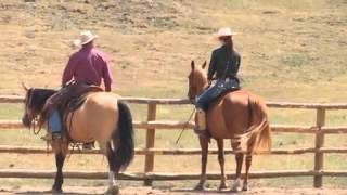 Teach Your Horse to Go Sideways Under Saddle with Pat Parelli [upl. by Ahsaz]