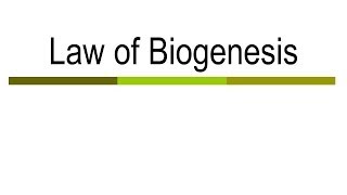 Law of Biogenesis [upl. by Pearson]