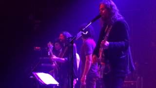 The Magpie Salute  Aint No More Cane On The Brazos [upl. by Phene888]