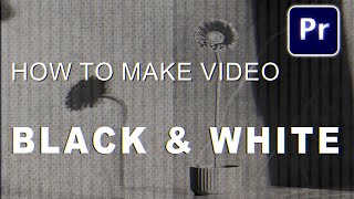 How To Make Video Black And White In Premiere Pro 2022 [upl. by Kannry86]