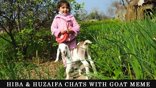 Hilarious Goat Meme Chats with Hiba and Huzaifa  Talk with Goat Meme [upl. by Intirb854]