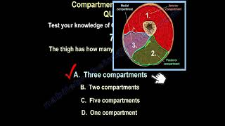 Compartment Syndrome test your knowledge [upl. by Congdon]