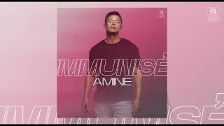 Amine Immunisé  Son officiel [upl. by Meesaw]