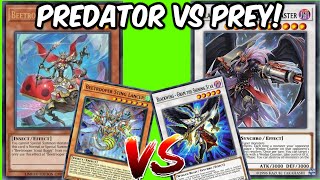 Predator Vs Prey BeeTroopers Vs BlackWings [upl. by Asaph]