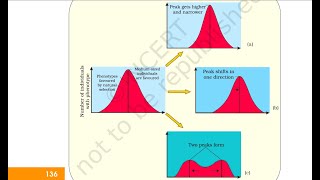 EvolutionCONCEPT GRAPH on Natural selection NEET [upl. by Behl]