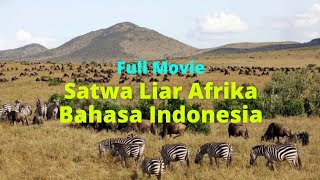 Koleksi Film Dokumenter  Kehidupan Satwa Liar Sub Indonesia Bagus Buat Nonton Bareng Keluarga [upl. by Aneladdam]