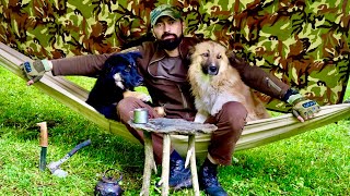 relaxing hammock rain camping with my dogs [upl. by Keenan796]