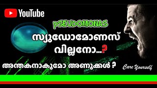 സ്യുഡോമോണസ് വില്ലനോ  അന്തകനാകുമോ അണുക്കൾ  Pseudomonas fluorescens BIOCONTROL AGENT IS VIRULENT [upl. by Hnao144]