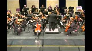 Dvorak Cello Concerto 1st movement [upl. by Anehsuc]