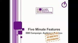 Using the Audience Process 1 of 2  IBM Unica Campaign Tutorial [upl. by Nnaecyoj]