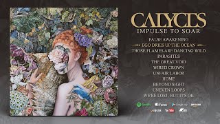 Calyces  Impulse to Soar FULL ALBUM [upl. by Zigrang]