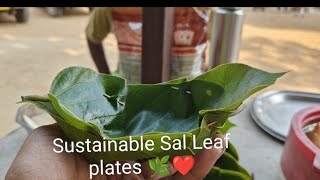 Sustainable Sal Leaf Plates [upl. by Wendall]