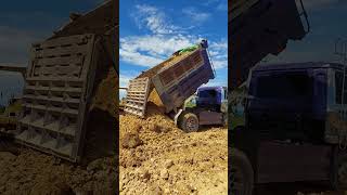 Dump truck dumps the soil on the construction bulldozer dumptruck excavator [upl. by Volin]