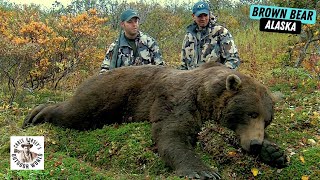 Challenging Hunt for Giant Brown Bear in Remote Alaska [upl. by Einnahpets]