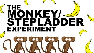 THE MONKEYSTEPLADDER EXPERIMENT [upl. by Philip]