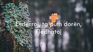 Shpat Deda  Ëndërroj Lyric Video [upl. by Aicinoid613]