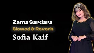 Zama Sardara by Sofia Kaif  Slowed amp Reverb  Tuned Musicc [upl. by Rossy]