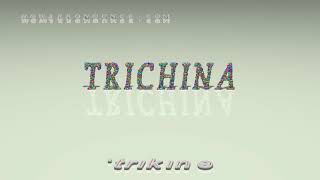 trichina  pronunciation [upl. by Esahc840]