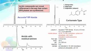 Reversephase HPLC [upl. by Fay]