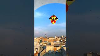 Big kite Flying  6 Tawa  How to fly kite  Kite flying tips and tricks [upl. by Powers]